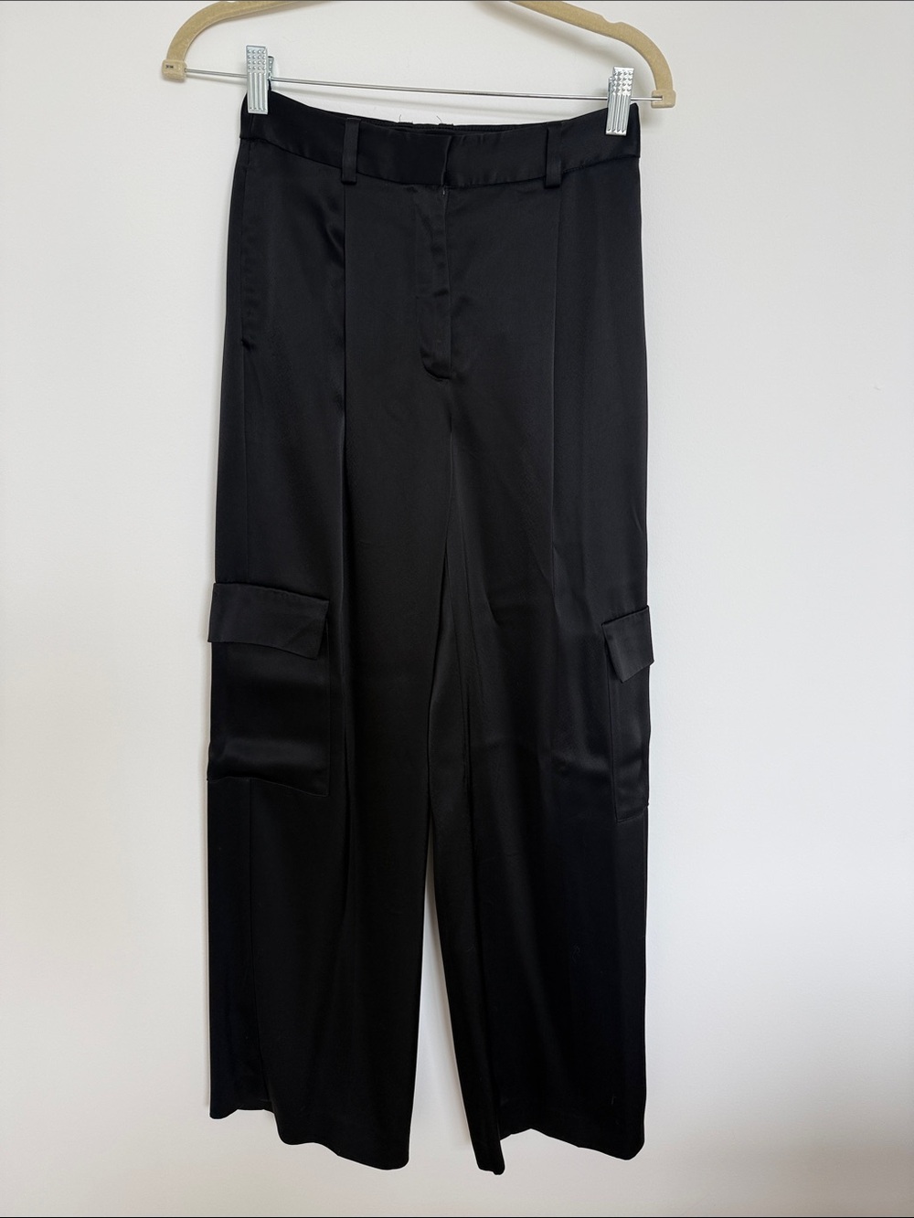 Aritzia babaton silk cargos